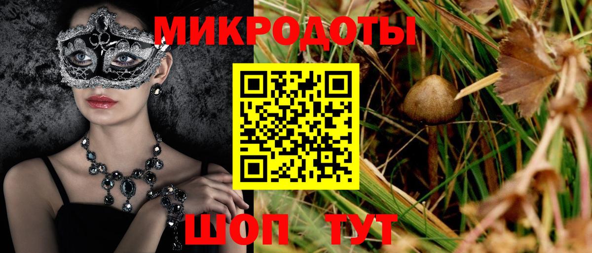 Псилоцибиновые грибы Cubensis Касимов