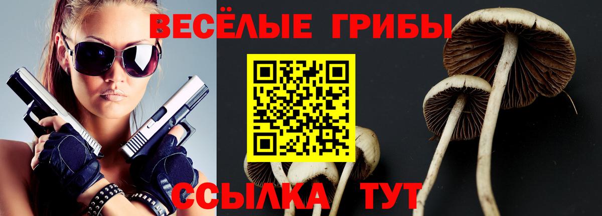 Псилоцибиновые грибы мицелий  закладки  Касимов  Вход с VPN  Галлюциногенные грибы ЛСД 
